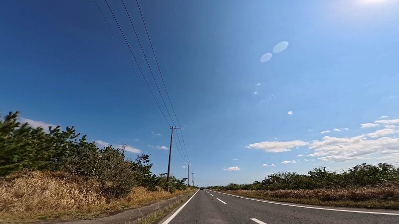 シーサイド道路